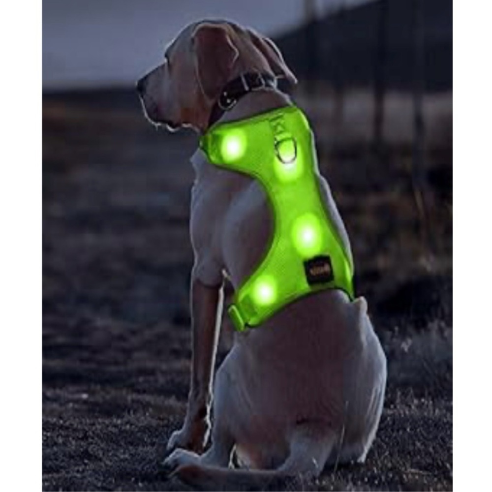 BSEEN Comfort Control Light-Up Dog Harness - Small